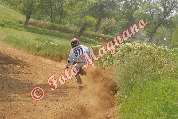 DSC_0913.jpg